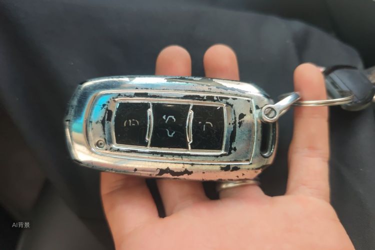GEELY Emgrand GL 2019 car image #10