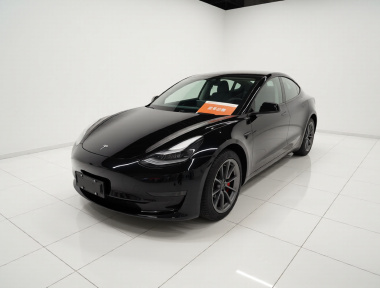 Tesla Model 3 2023 Tesla Model 3 2023 car image