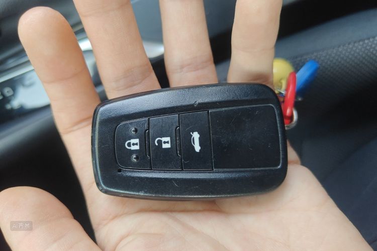 Toyota Corolla 2019 car image #10
