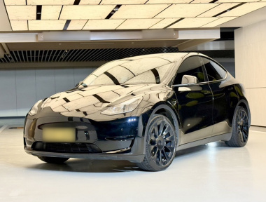 Tesla Model Y 2022 Tesla Model Y 2022 car image