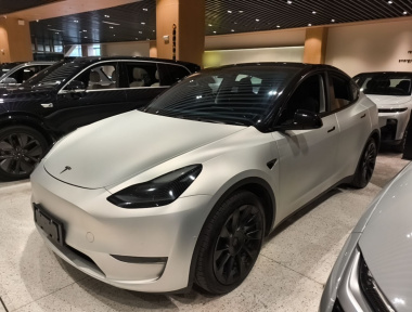 Tesla Model Y 2021 Tesla Model Y 2021 car image