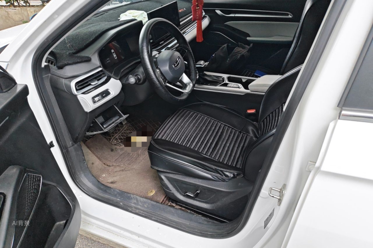 GEELY Emgrand 2023 car image #18