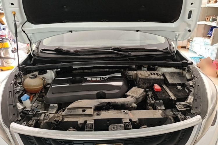 GEELY Emgrand GS 2018 car image #20