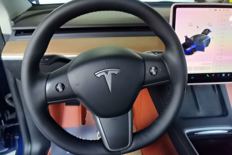 Tesla Model Y 2021 car image #15