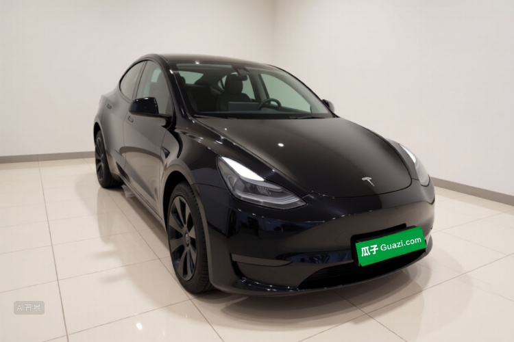 Tesla Model Y 2021 car image #4