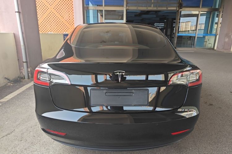 Tesla Model 3 2021 #4 Tesla Model 3 2021 car image #4