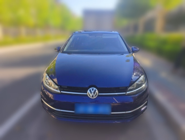 Volkswagen Golf 2019 car image 