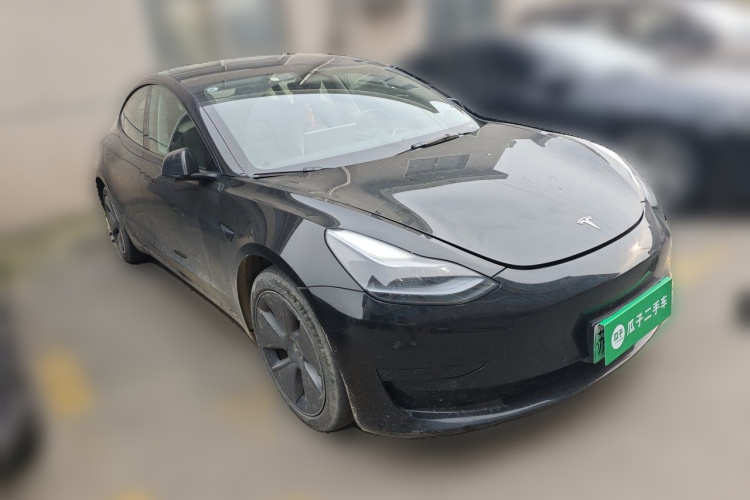 Tesla Model 3 2022 car image #4