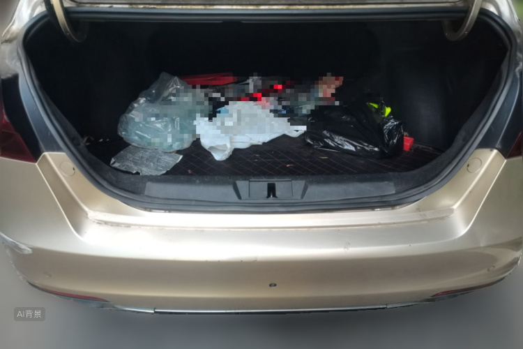 GEELY Emgrand 2020 car image #21
