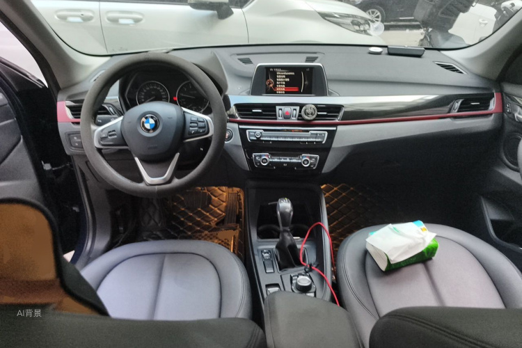 BMW X1 2017 car image #11
