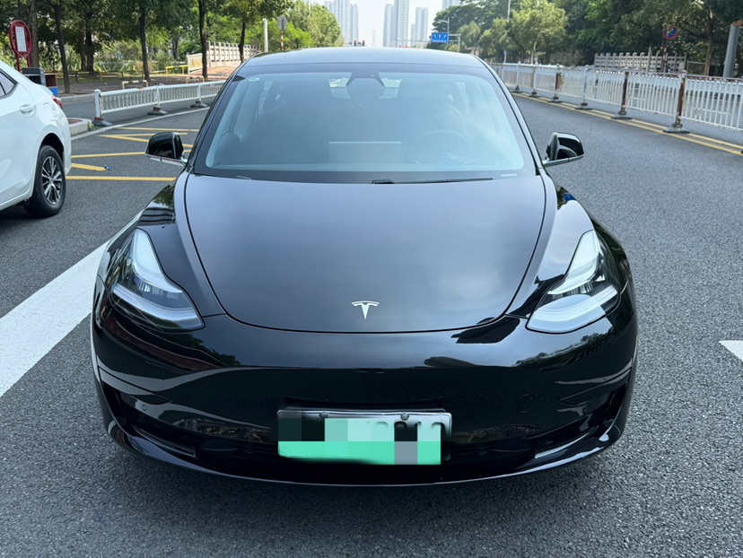 Tesla Model 3 2020 car image #3