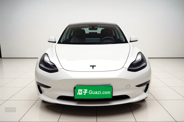 Tesla Model 3 2021 #3 Tesla Model 3 2021 car image #3