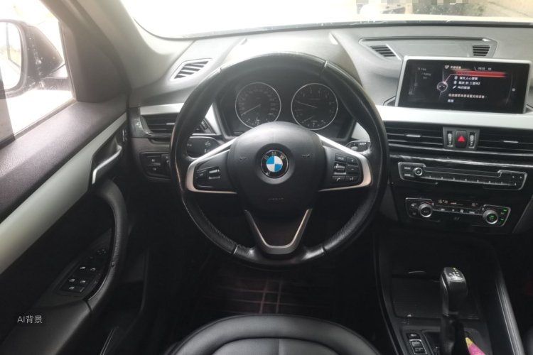 BMW X1 2016 car image #12