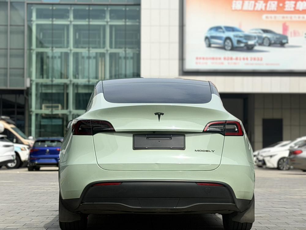 Tesla Model Y 2021 #6 Tesla Model Y 2021 صورة سيارة #6
