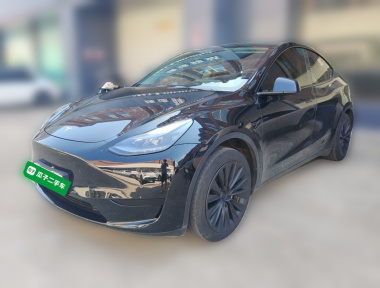 Tesla Model Y 2023 Tesla Model Y 2023 car image