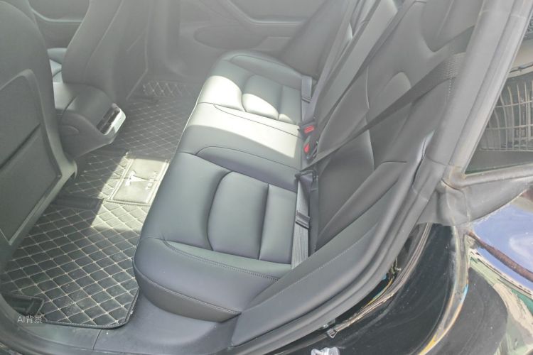 Tesla Model 3 2020 car image #19