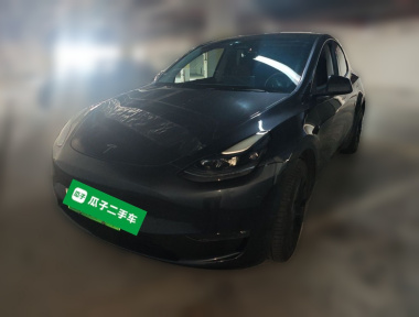 Tesla Model Y 2024 Tesla Model Y 2024 immagine di auto