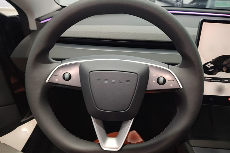 Tesla Model 3 2025 car image #11