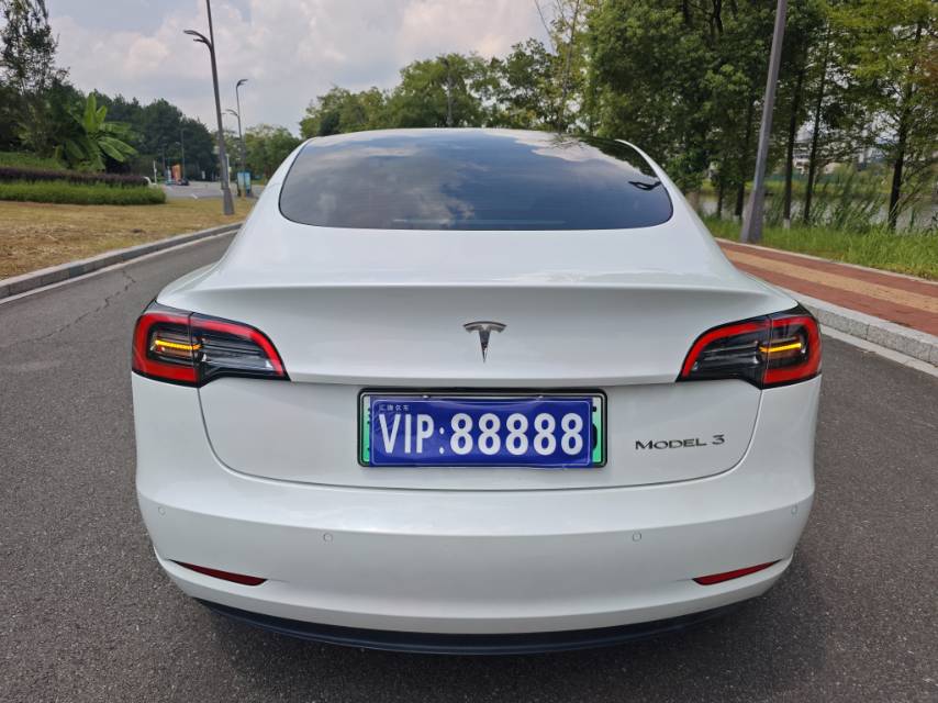 Tesla Model 3 2021 car image #8