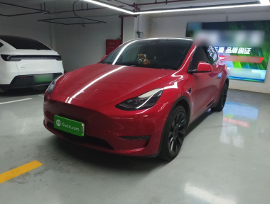 Tesla Model Y 2021 car image 