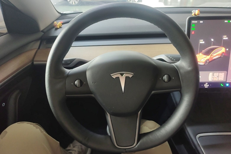 Tesla Model 3 2021 #11 Tesla Model 3 2021 car image #11