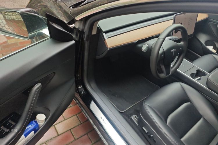 Tesla Model 3 2020 car image #18