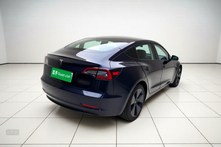 Tesla Model 3 2022 car image #7