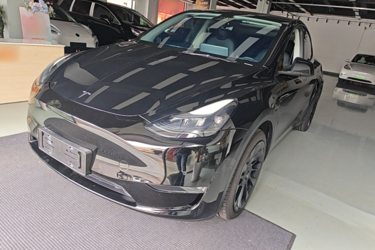 Tesla Model Y 2021 #2 Tesla Model Y 2021 car image #2