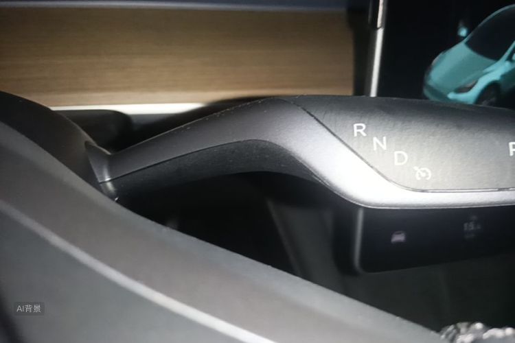 Tesla Model Y 2021 car image #16