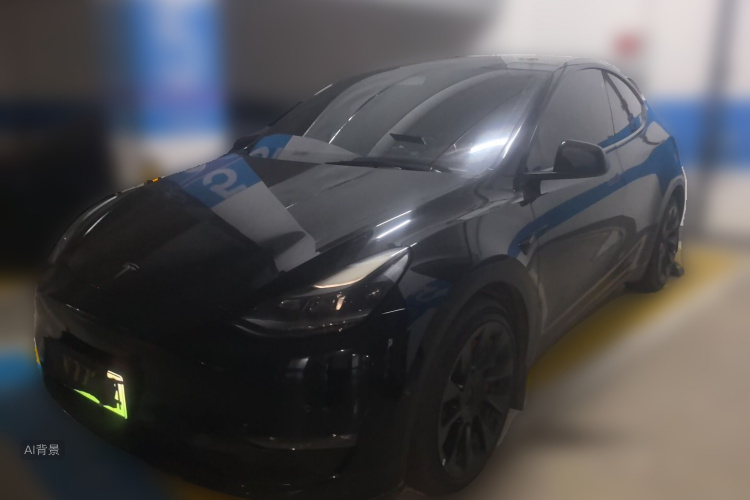Tesla Model Y 2021 car image #2