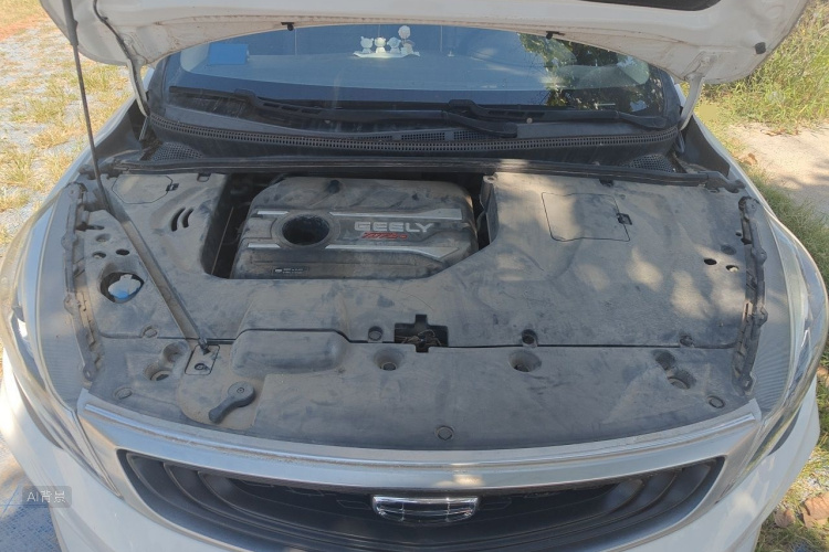 GEELY Emgrand GS 2020 car image #22