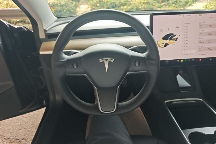 Tesla Model 3 2021 #15 Tesla Model 3 2021 immagine di auto #15