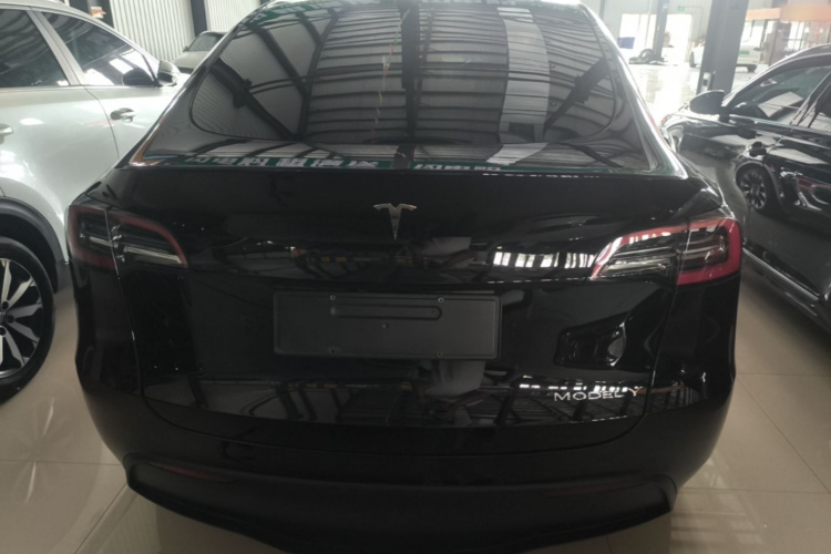 Tesla Model Y 2023 #6 Tesla Model Y 2023 car image #6