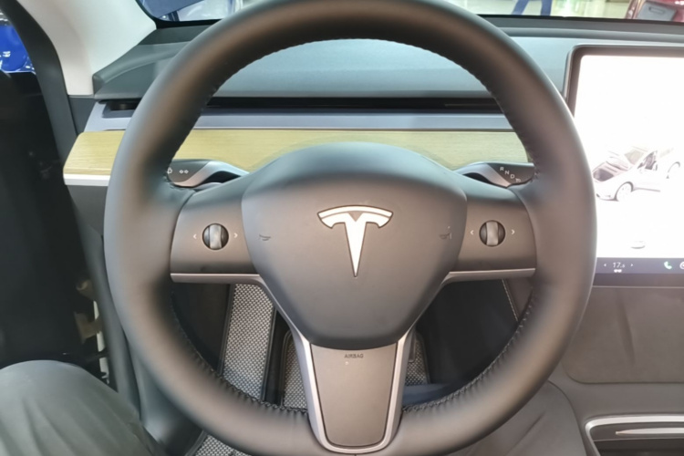 Tesla Model Y 2023 #11 Tesla Model Y 2023 car image #11