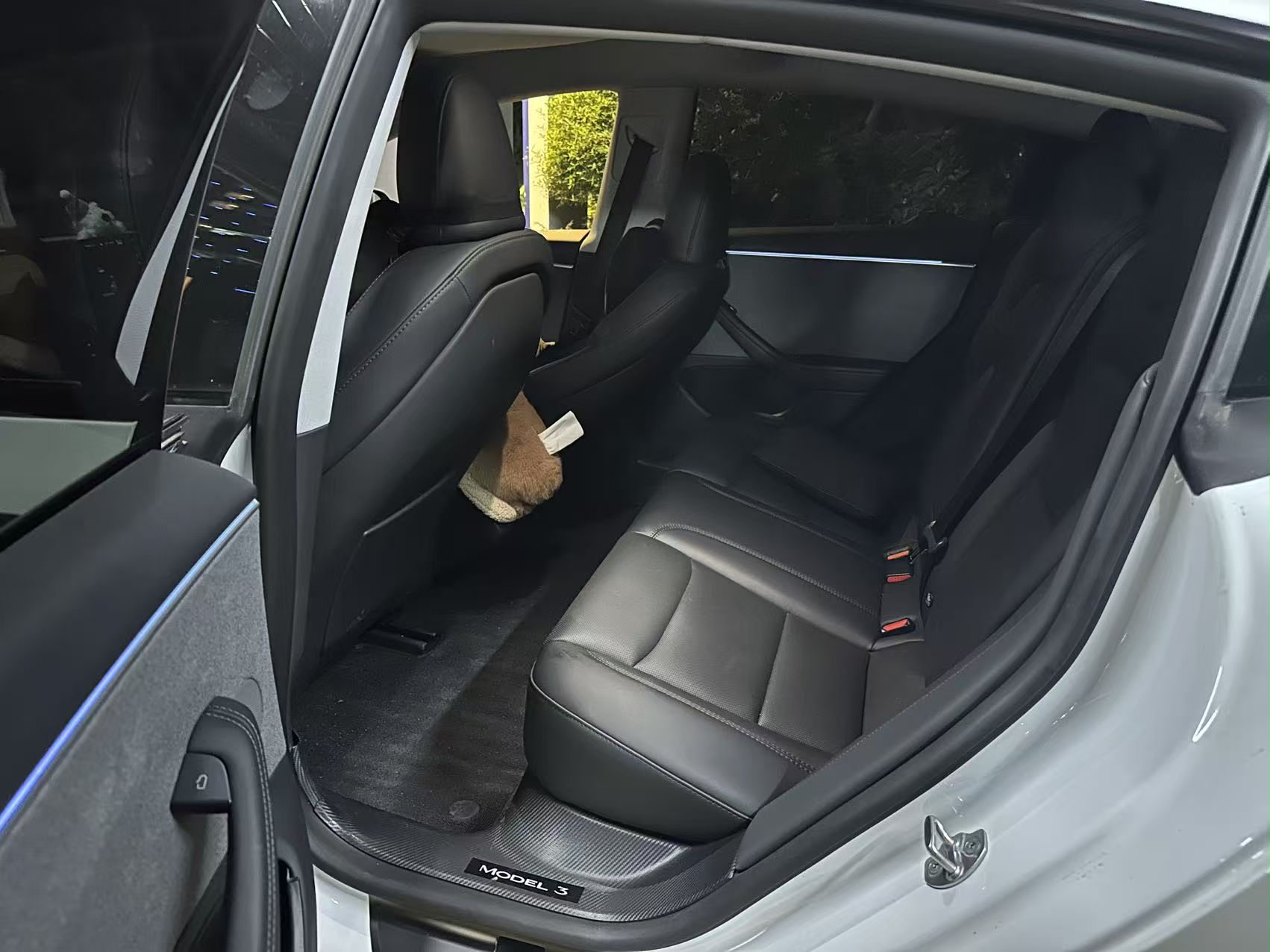 Tesla Model 3 2025 imagem de carro #3