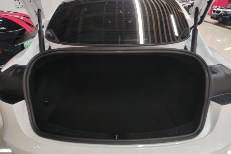 Tesla Model 3 2024 car image #19