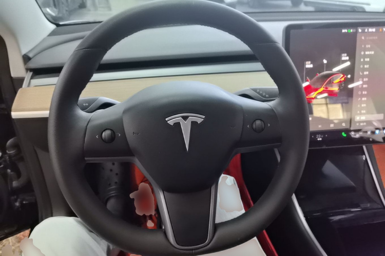 Tesla Model 3 2020 #15 Tesla Model 3 2020 car image #15