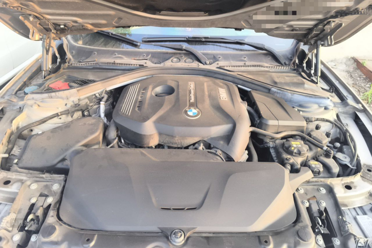 BMW 3 Series 2019 #22 BMW 3 Series 2019 صورة سيارة #22