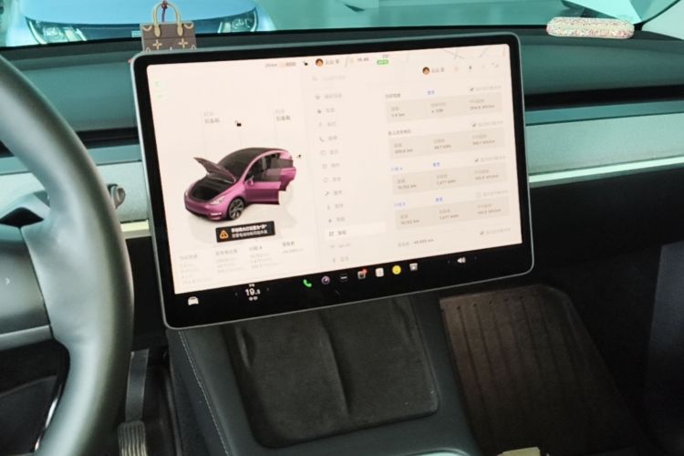 Tesla Model Y 2023 #13 Tesla Model Y 2023 car image #13