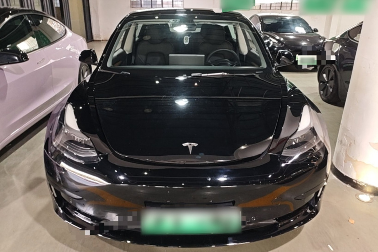 Tesla Model 3 2021 #3 Tesla Model 3 2021 car image #3