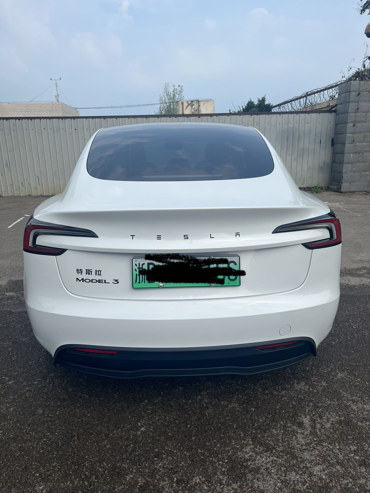 Tesla Model 3 2026 car image #5