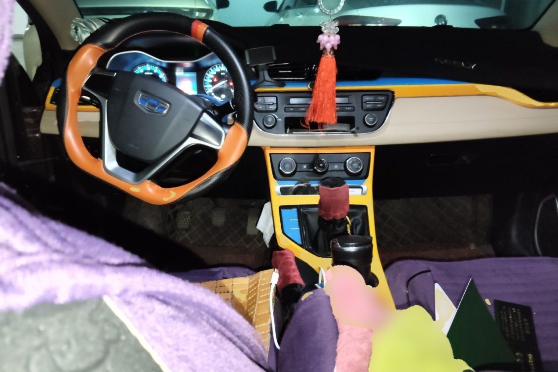 GEELY Emgrand 2019 car image #21