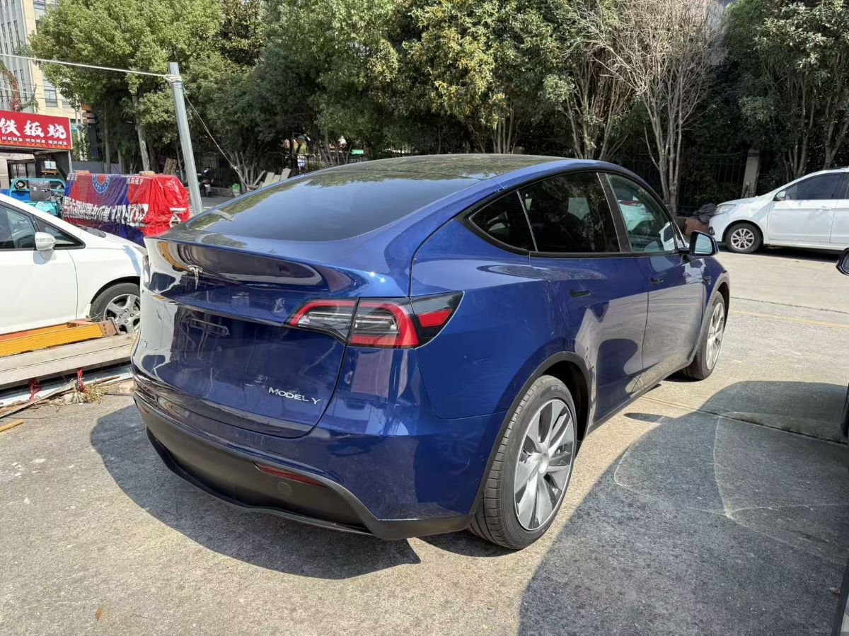 Tesla Model Y 2023 #6 Tesla Model Y 2023 car image #6