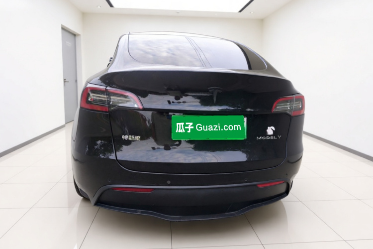 Tesla Model Y 2021 car image #6