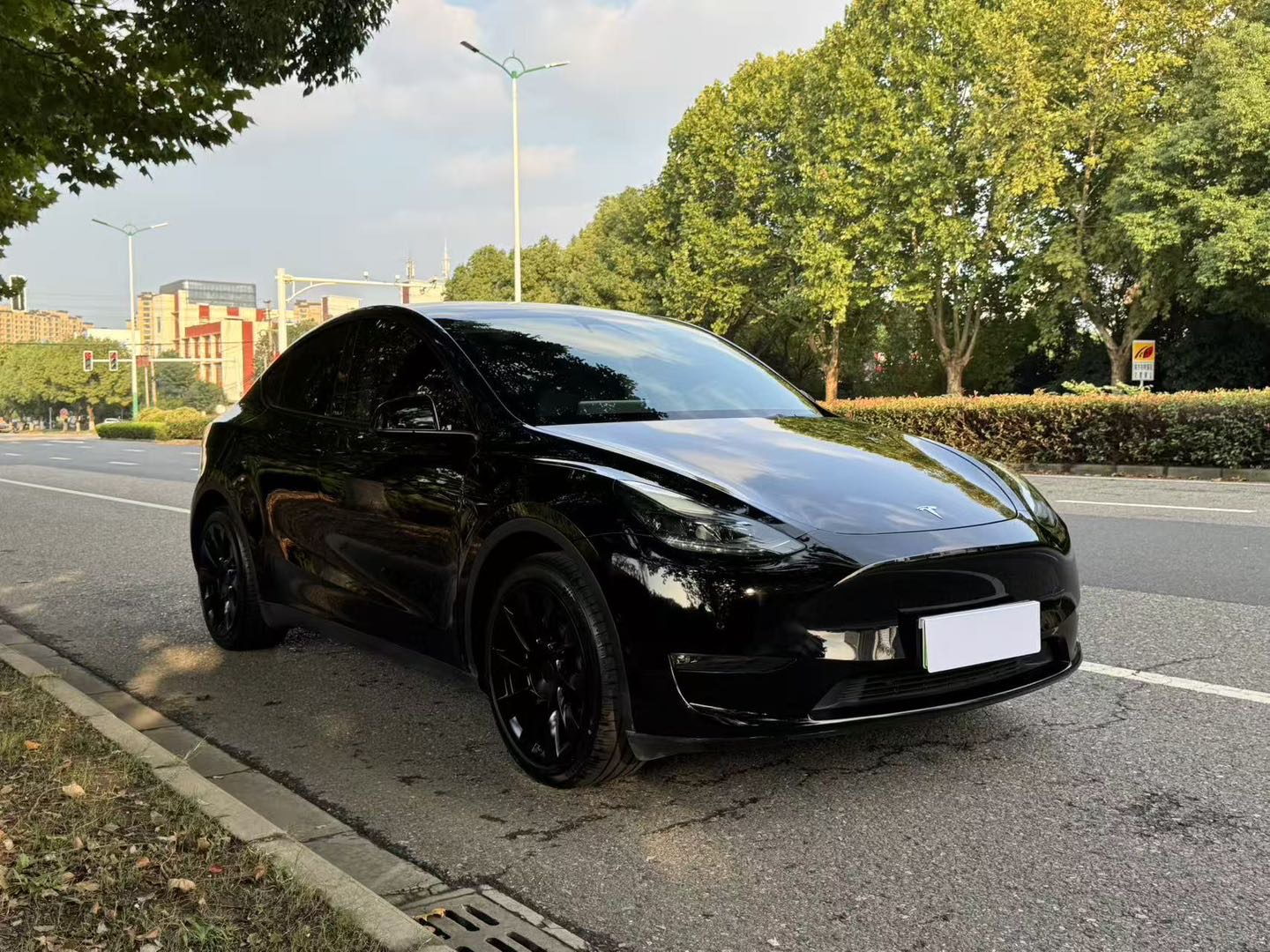 Tesla Model Y 2021 #5 Tesla Model Y 2021 car image #5