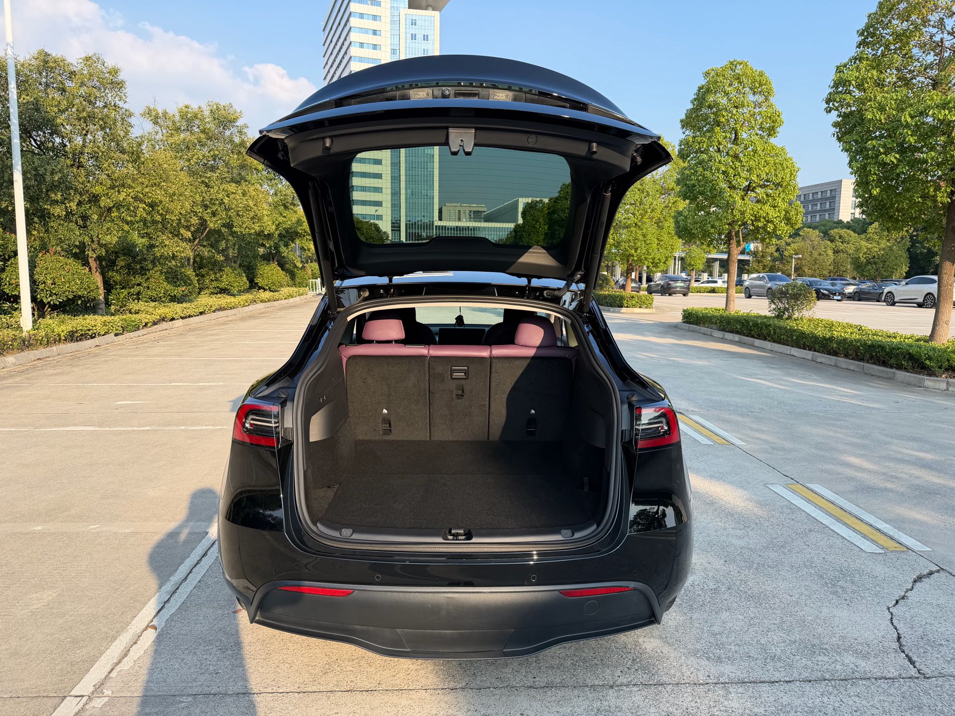 Tesla Model Y 2023 car image #9