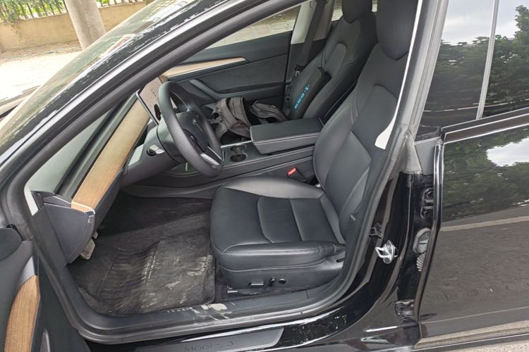 Tesla Model 3 2021 car image #15