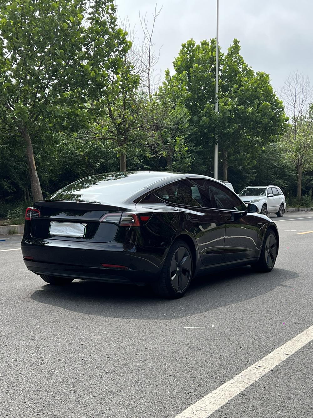 Tesla Model 3 2022 #6 Tesla Model 3 2022 car image #6