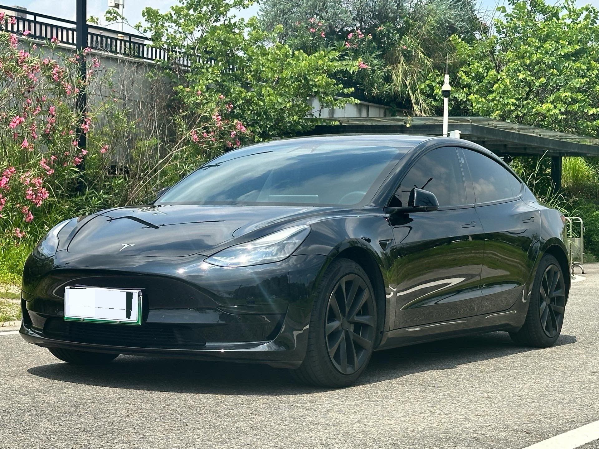 Tesla Model 3 2021 Tesla Model 3 2021 car image