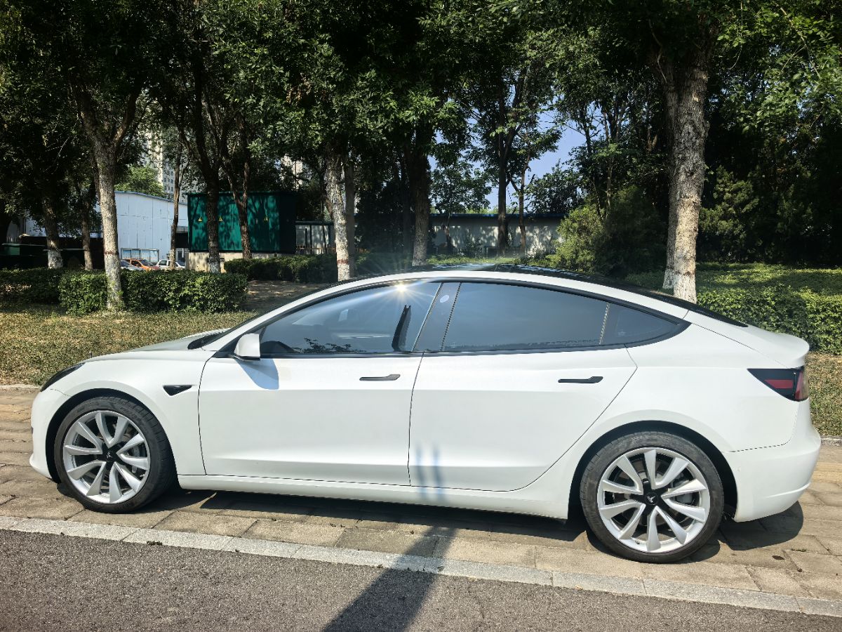 Tesla Model 3 2021 #5 Tesla Model 3 2021 car image #5